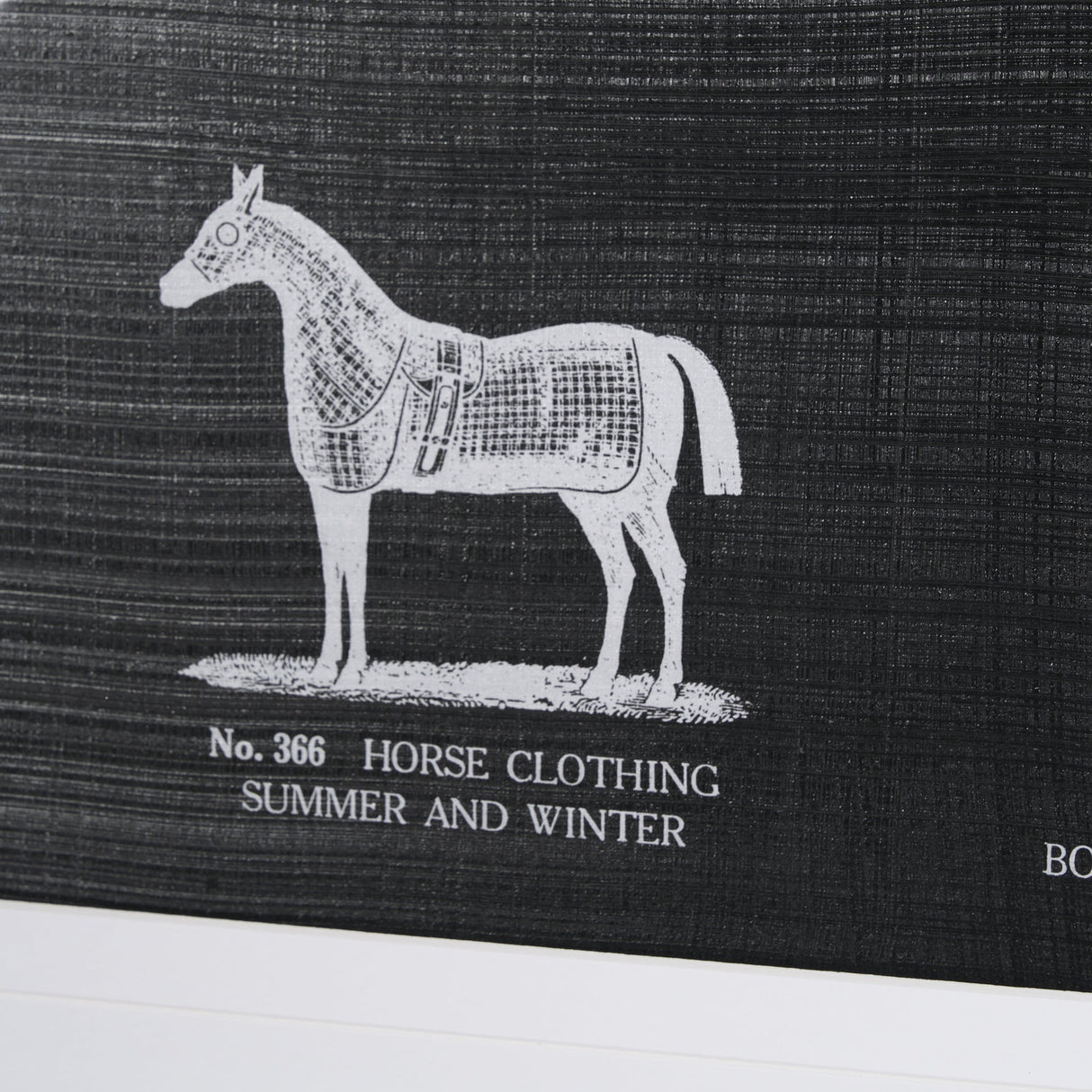 Equestrian Riding IV BW Horse by Mercana Studio Hand Embellished Framed Art Print Matted under Glass by Mercana at Eve Furniture
