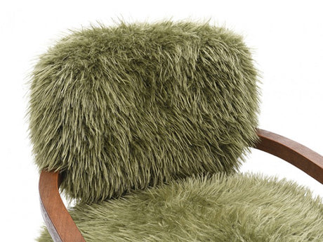 Eramo Green Accent Chair by Furniture of America at Eve Furniture