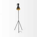 Eris III Black/Brass Metal Cone Shade Floor Lamp by Mercana at Eve Furniture