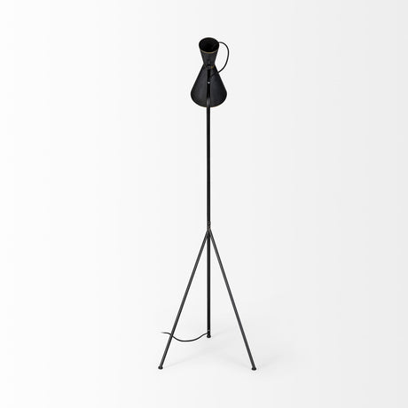 Eris III Black/Brass Metal Cone Shade Floor Lamp by Mercana at Eve Furniture