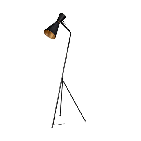 Eris III Black/Brass Metal Cone Shade Floor Lamp by Mercana at Eve Furniture