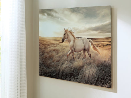 Errolville Multi Wall Art by Ashley at Eve Furniture