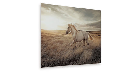 Errolville Multi Wall Art by Ashley at Eve Furniture
