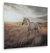 Errolville Multi Wall Art by Ashley at Eve Furniture