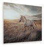 Errolville Multi Wall Art by Ashley at Eve Furniture