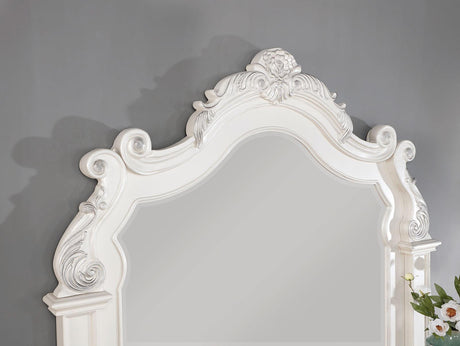 Esparanza Pearl White Mirror by Furniture of America at Eve Furniture