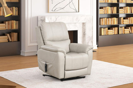 Ethelreda Light Gray Lift Chair by Furniture of America at Eve Furniture