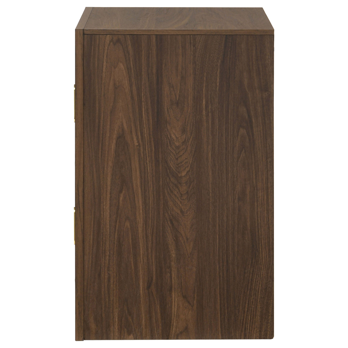 Etienne Walnut 2-drawer Nightstand Bedside Table by Coaster at Eve Furniture