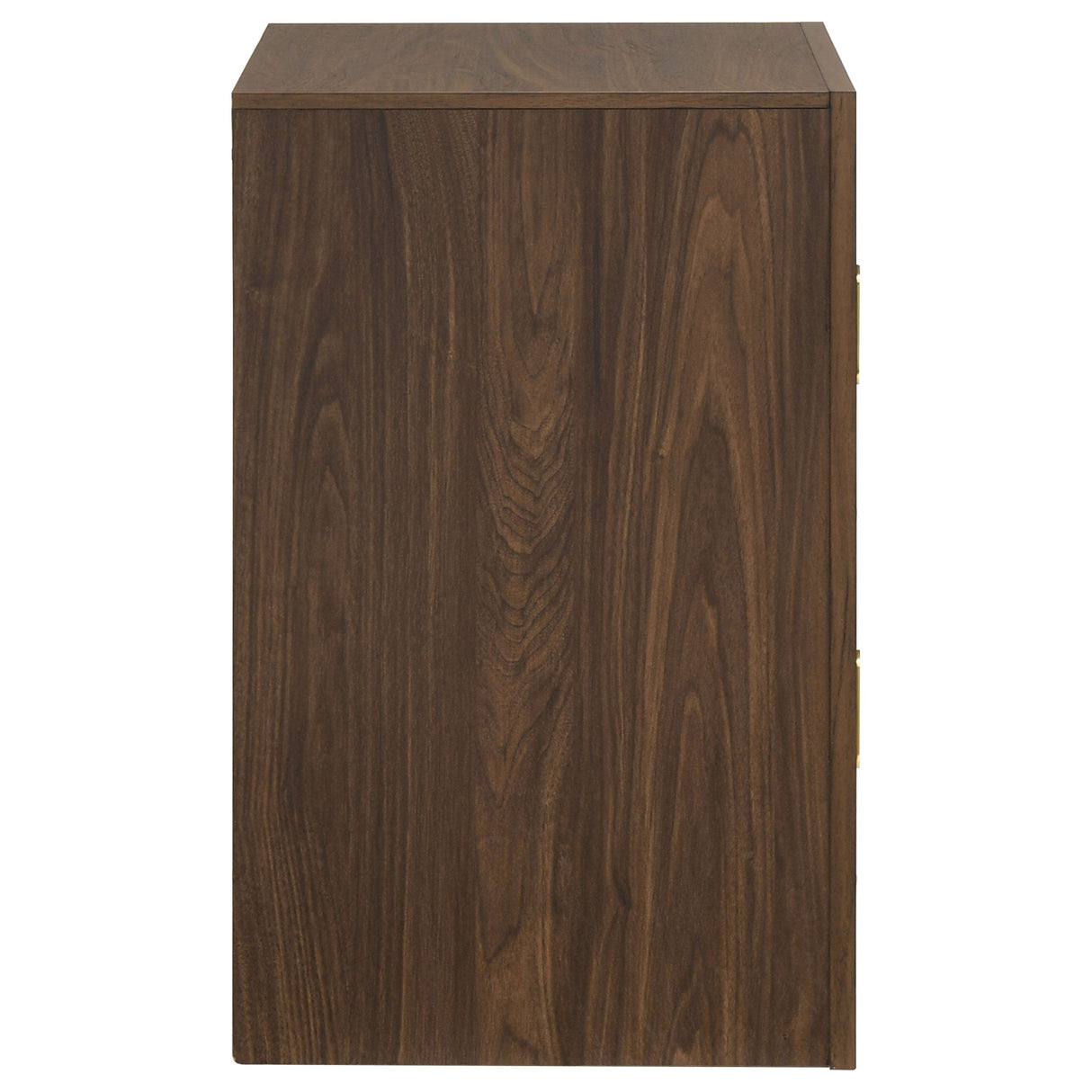 Etienne Walnut 2-drawer Nightstand Bedside Table by Coaster at Eve Furniture