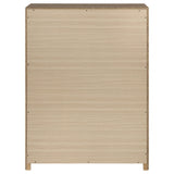 Etienne Walnut 5-drawer Bedroom Chest Of Drawers by Coaster at Eve Furniture