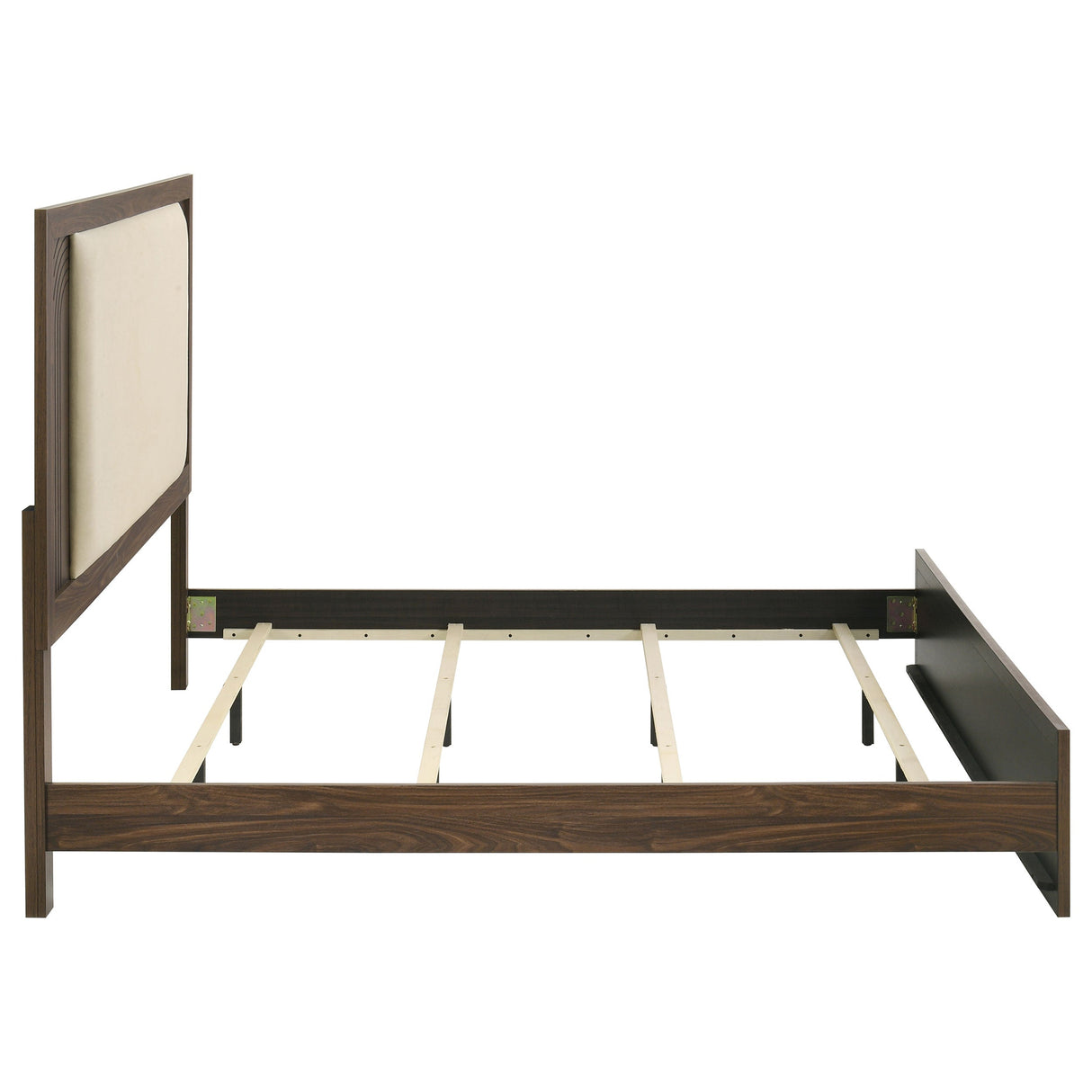 Etienne Walnut Eastern King Velvet Upholstered Panel Bed by Coaster at Eve Furniture