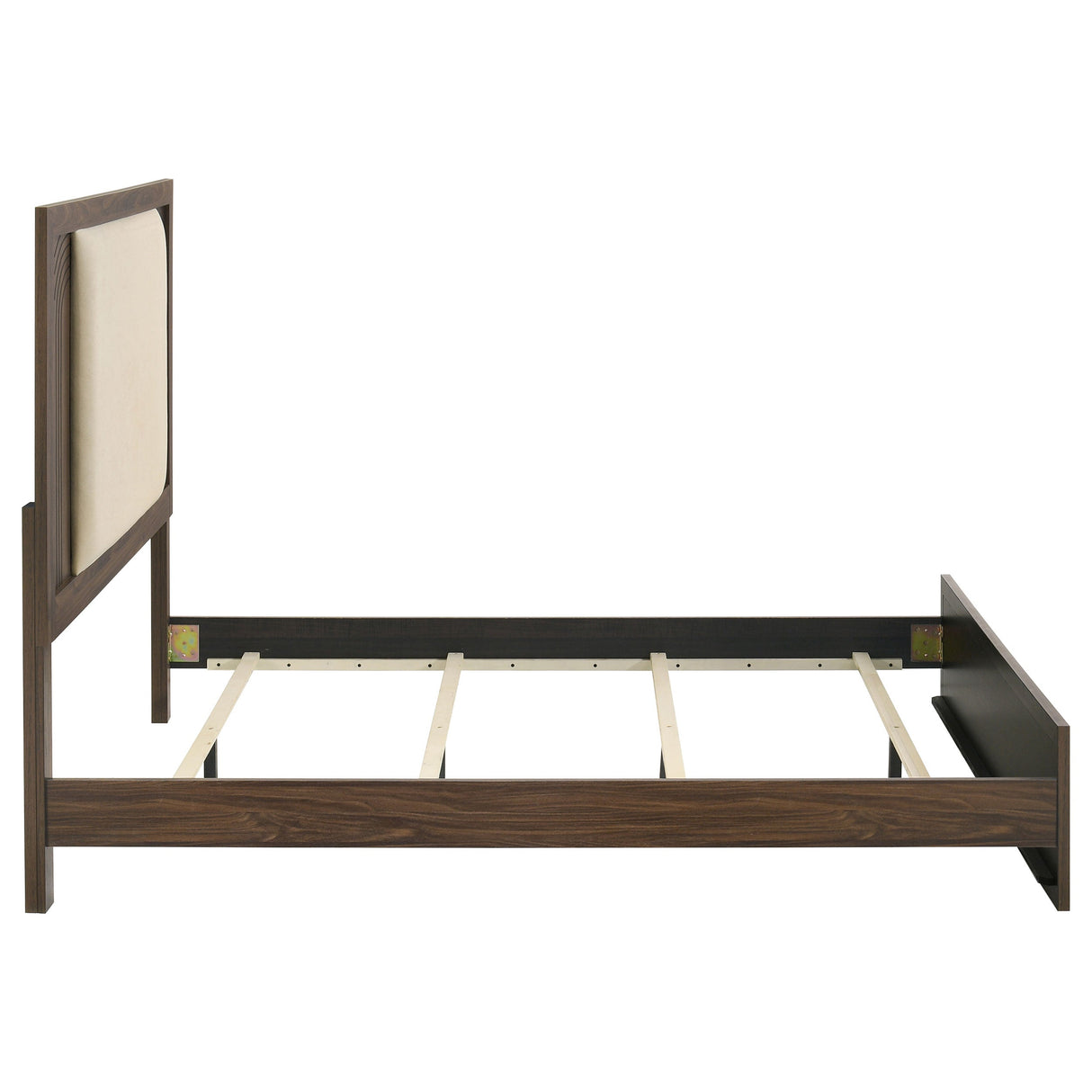 Etienne Walnut Queen Velvet Upholstered Panel Bed by Coaster at Eve Furniture