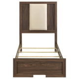 Etienne Walnut Twin Velvet Upholstered Panel Bed by Coaster at Eve Furniture