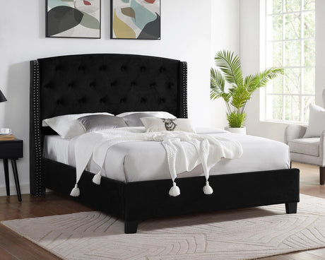 Eva Black Velvet Queen Upholstered Bed by Crown Mark at Eve Furniture
