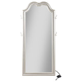 Evangeline Silver Oak Full Length LED Floor Mirror by Coaster at Eve Furniture