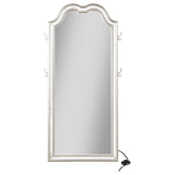 Evangeline Silver Oak Full Length LED Floor Mirror by Coaster at Eve Furniture