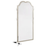 Evangeline Silver Oak Full Length LED Floor Mirror by Coaster at Eve Furniture