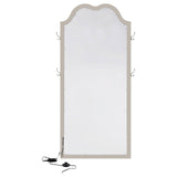 Evangeline Silver Oak Full Length LED Floor Mirror by Coaster at Eve Furniture