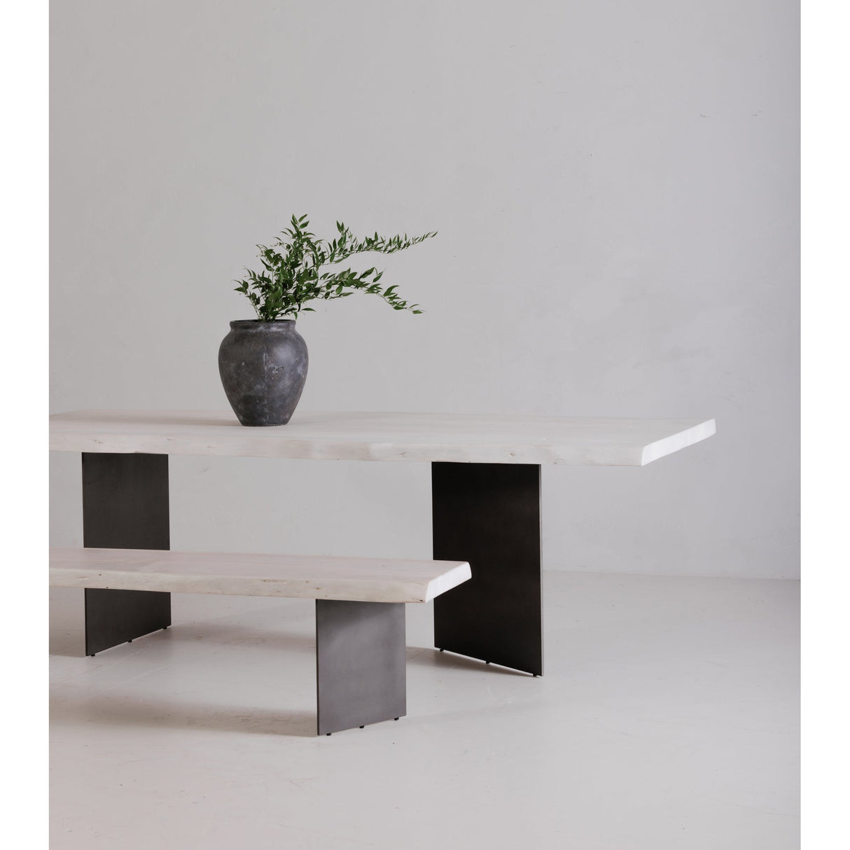 Evans White Dining Bench by MOES at Eve Furniture