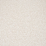 Eve Dining Chair w/ Cream Boucle Fabric & Matte Black Metal, Set of 2 by Mercana at Eve Furniture