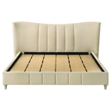 Evelyn Ivory Upholstered Eastern King Panel Platform Bed by Coaster at Eve Furniture