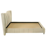 Evelyn Ivory Upholstered Queen Panel Platform Bed by Coaster at Eve Furniture