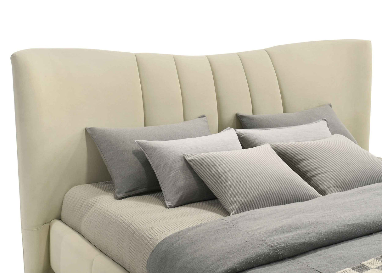 Evelyn Ivory Upholstered Queen Panel Platform Bed by Coaster at Eve Furniture