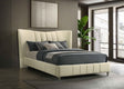 Evelyn Ivory Upholstered Queen Panel Platform Bed by Coaster at Eve Furniture