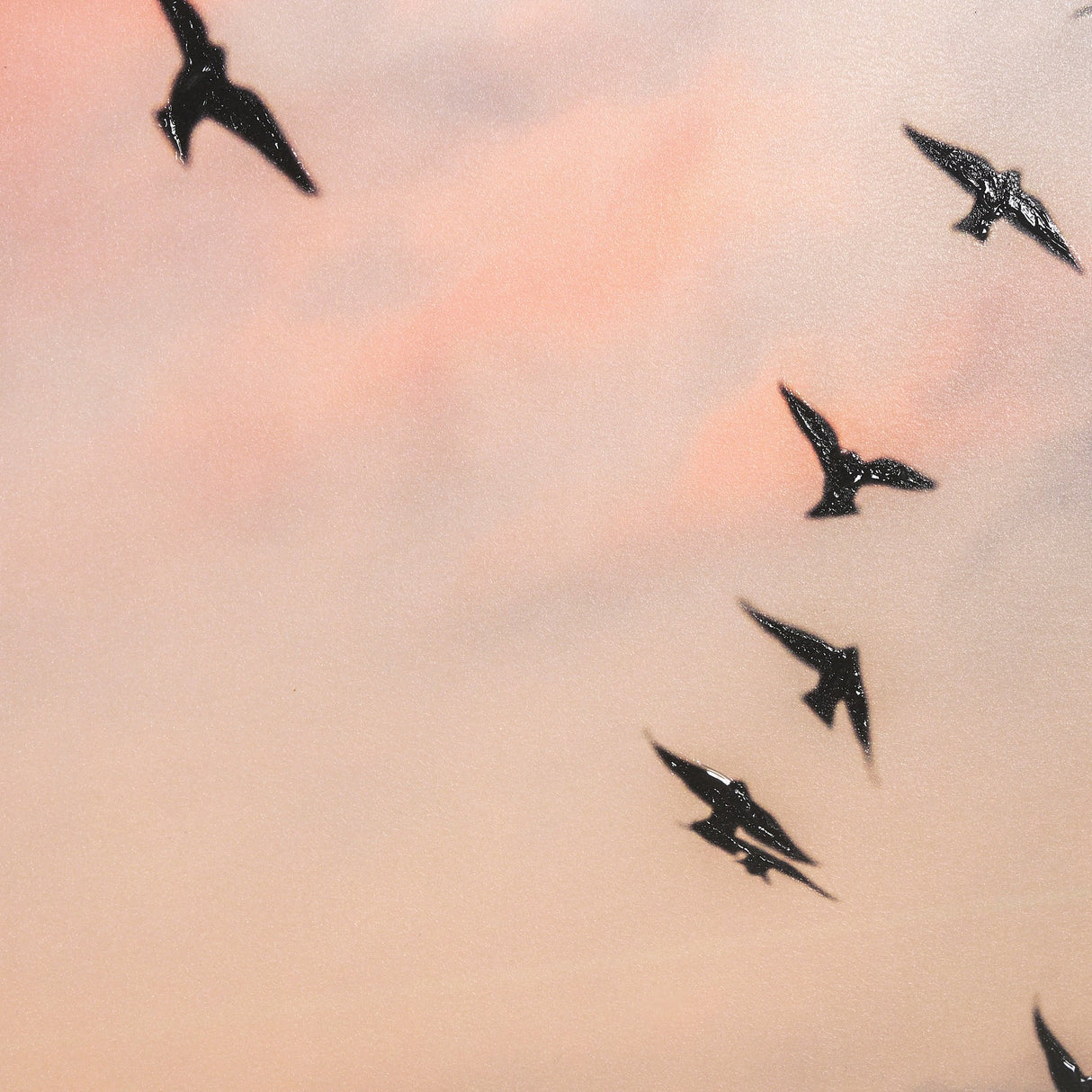 Evening Flight by Mercana Studio a Hand Embellished Textured Framed Photo Art Print Matted under Gla by Mercana at Eve Furniture