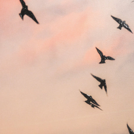 Evening Flight by Mercana Studio a Hand Embellished Textured Framed Photo Art Print Matted under Gla by Mercana at Eve Furniture
