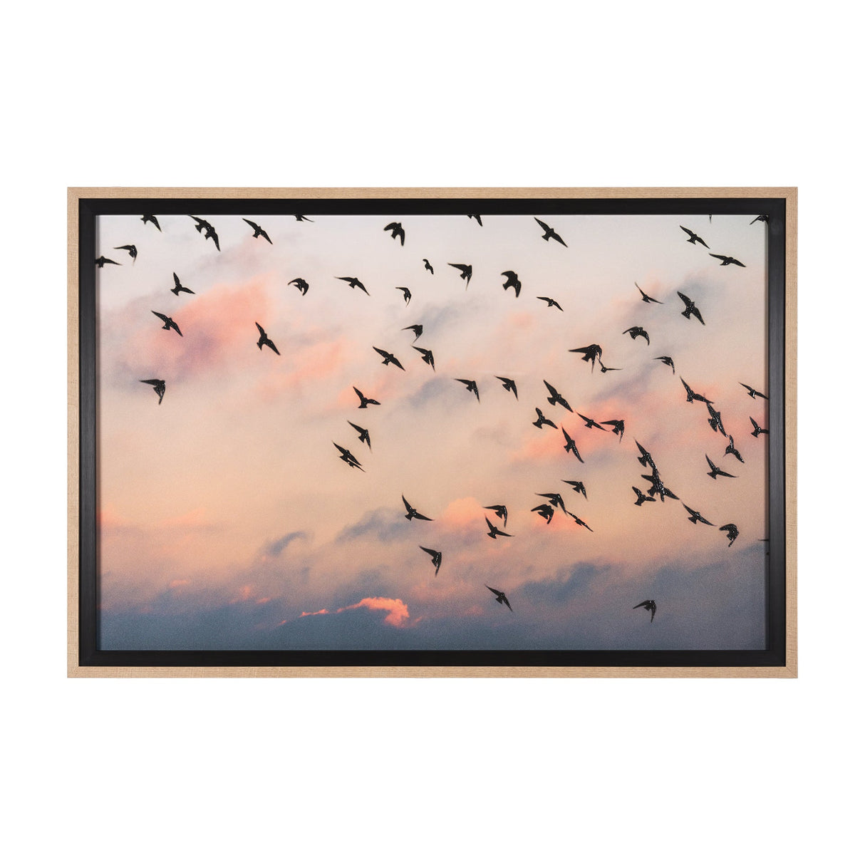 Evening Flight by Mercana Studio a Hand Embellished Textured Framed Photo Art Print Matted under Gla by Mercana at Eve Furniture