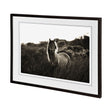 Evening Glow by Mercana Studio a Hand Embelished Textured Framed Photo Art Print Matted under Glass by Mercana at Eve Furniture