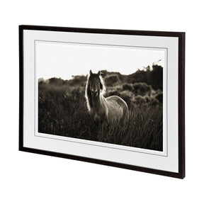 Evening Glow by Mercana Studio a Hand Embelished Textured Framed Photo Art Print Matted under Glass by Mercana at Eve Furniture