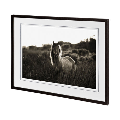 Evening Glow by Mercana Studio a Hand Embelished Textured Framed Photo Art Print Matted under Glass by Mercana at Eve Furniture