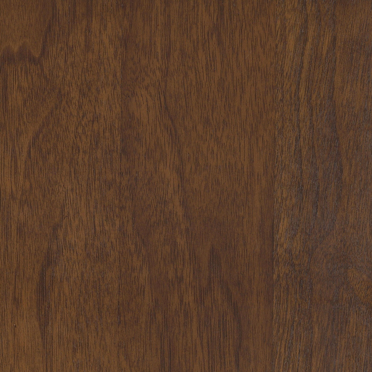 Everton Walnut Round 53-inch Wood Dining Table by Coaster at Eve Furniture