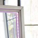 Evesen Champagne Floor Standing Mirror/Storage by ASHLEY FURNITURE at Eve Furniture
