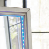 Evesen Champagne Floor Standing Mirror/Storage by ASHLEY FURNITURE at Eve Furniture