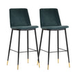 Evora Velvet Counter Stool - Set of 2 by TOV Furniture at Eve Furniture