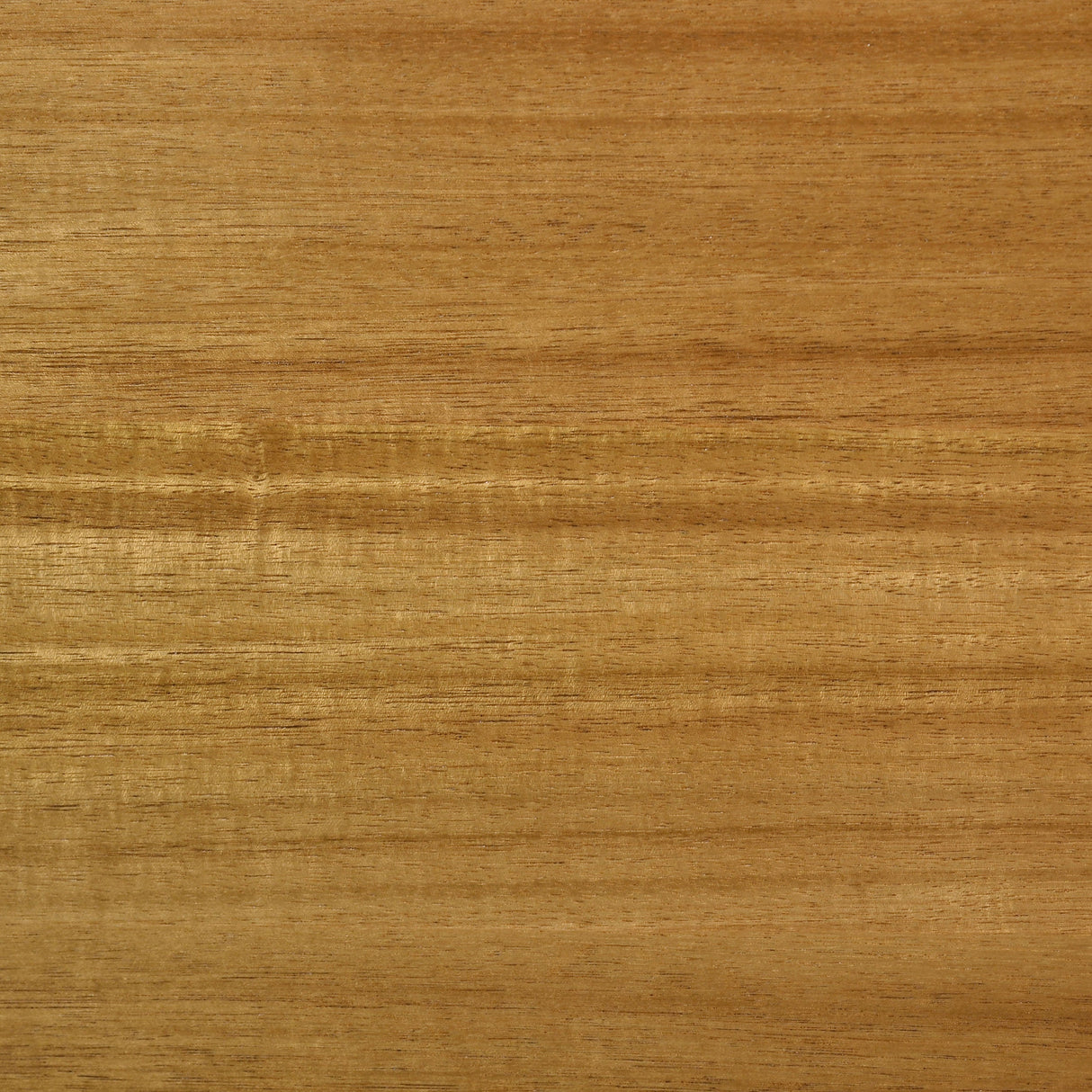 Fabra Honey 79-inch Rectangular Wood Dining Table by Coaster at Eve Furniture