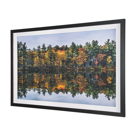 Fall Reflections by Dimitry Papkov Framed Art Print Matted under Glass by Mercana at Eve Furniture