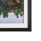 Fall Reflections by Dimitry Papkov Framed Art Print Matted under Glass by Mercana at Eve Furniture