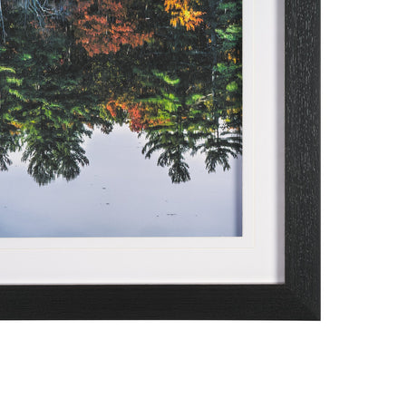 Fall Reflections by Dimitry Papkov Framed Art Print Matted under Glass by Mercana at Eve Furniture