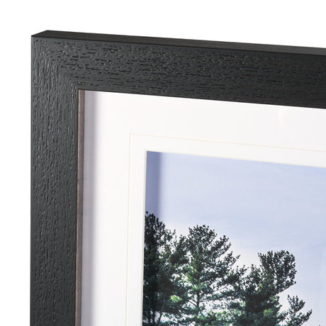 Fall Reflections by Dimitry Papkov Framed Art Print Matted under Glass by Mercana at Eve Furniture