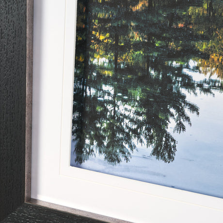Fall Reflections by Dimitry Papkov Framed Art Print Matted under Glass by Mercana at Eve Furniture