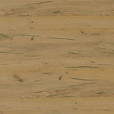 Fanning Golden Oak 2-Piece Lift Top Coffee and End Table Set by Coaster at Eve Furniture