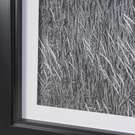 Farm Serenity I by Leda Robertson Textured FramedPhoto Print Matted under Glass by Mercana at Eve Furniture