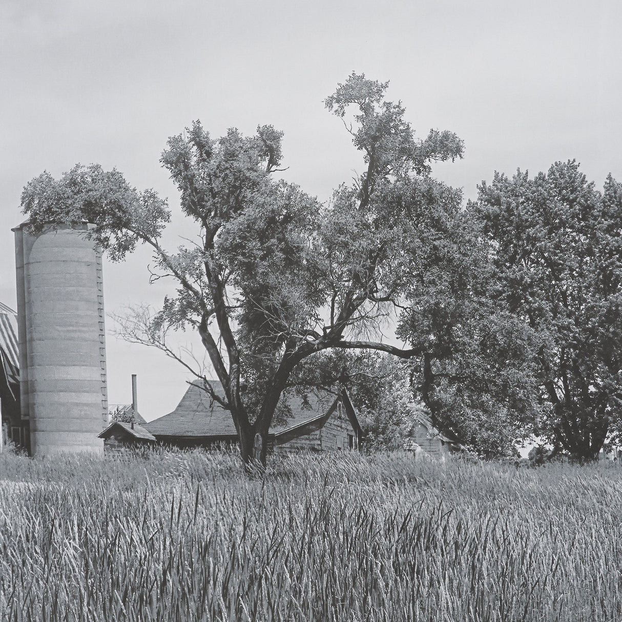Farm Serenity I by Leda Robertson Textured FramedPhoto Print Matted under Glass by Mercana at Eve Furniture