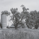 Farm Serenity I by Leda Robertson Textured FramedPhoto Print Matted under Glass by Mercana at Eve Furniture