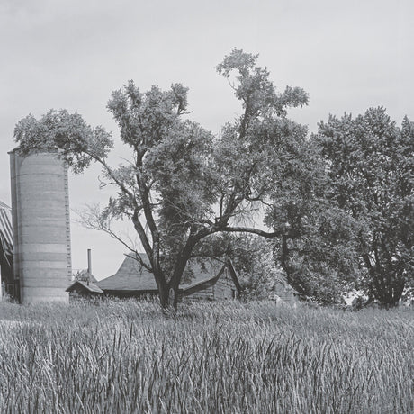 Farm Serenity I by Leda Robertson Textured FramedPhoto Print Matted under Glass by Mercana at Eve Furniture