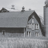 Farm Serenity I by Leda Robertson Textured FramedPhoto Print Matted under Glass by Mercana at Eve Furniture